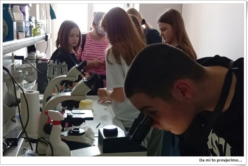Na Odjelu za biologiju – UPOZNALI BESMRTNE ŽIVOTINJE